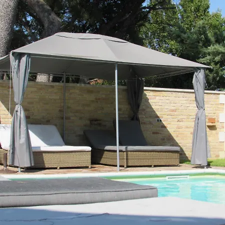 Bacchus, Provence Les Angles (Gard)