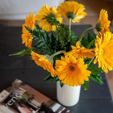 Villa Bacchus, Provence Les Angles (Gard)